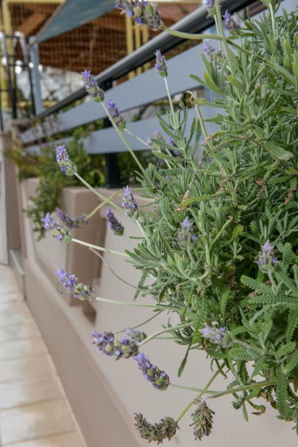 Aromatic Home Kíssamos Екстериор снимка